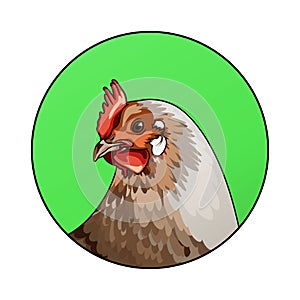 Chicken head looking to the side in a green colored circle. Animal illustration of Henn for kids book and biology lesson. Logotype